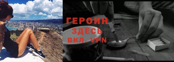 гидра Арсеньев