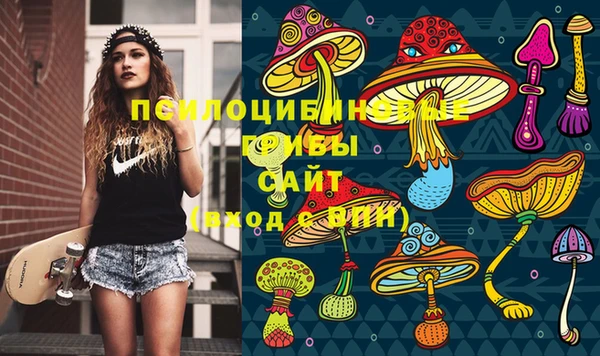 молекула духа Аркадак