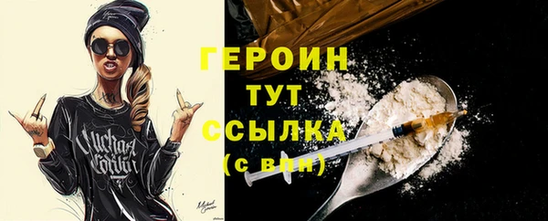 гидра Арсеньев